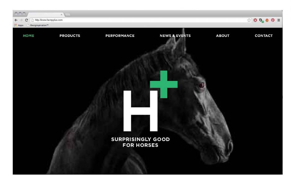 46983767_1970706676569956_3760361914824130560_o