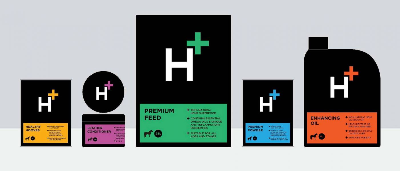 47002844_1970706796569944_7164168267643224064_o