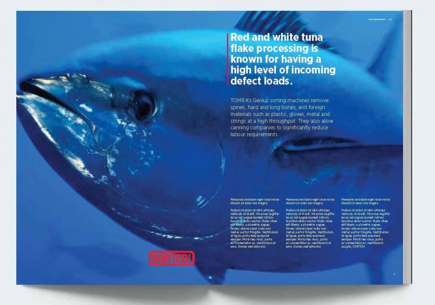 52890267_2022645591376064_8857734985545678848_o