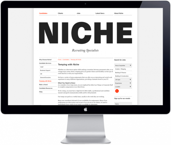 niche-website (1)